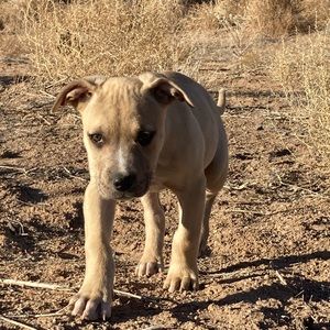 Meet your Posher, Jazlynn